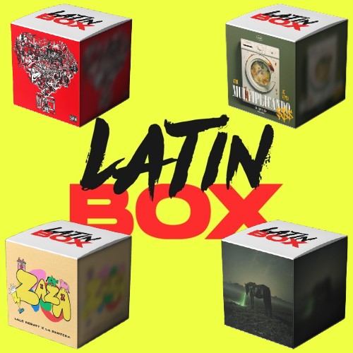 BADGYAL (MRJ Open Show)